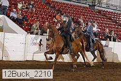 12buck_2210 proof