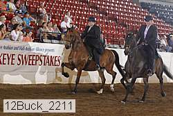 12buck_2211 proof