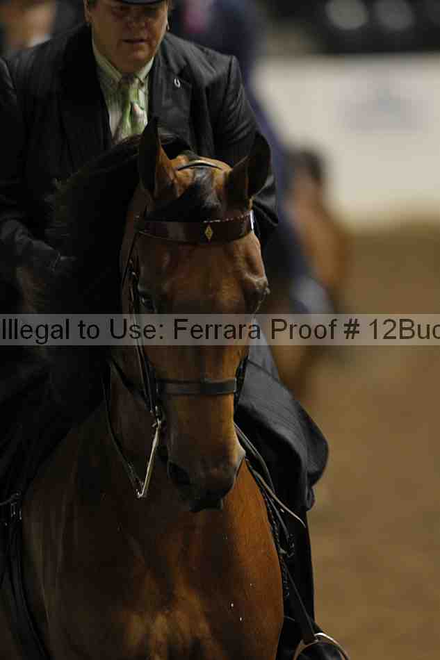 Proof 12buck_2213