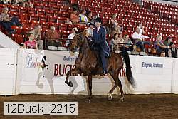 12buck_2215 proof