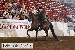 12buck_2217 proof
