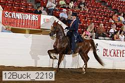 12buck_2219 proof