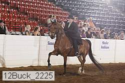 12buck_2225 proof