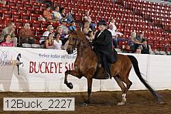 12buck_2227 proof