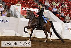 12buck_2238 proof