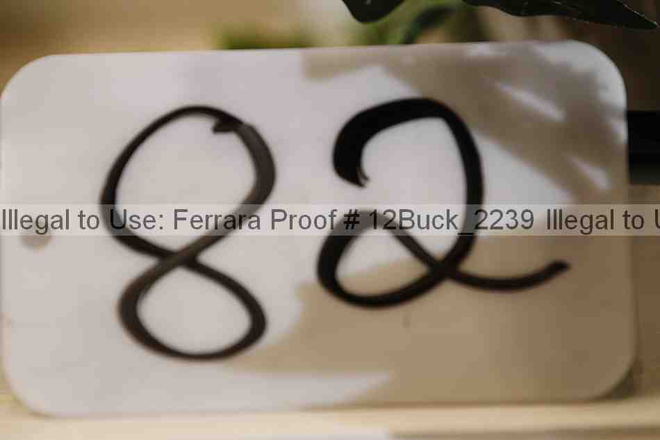 Proof 12buck_2239