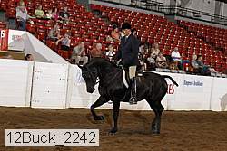 12buck_2242 proof