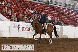 12buck_2243 proof