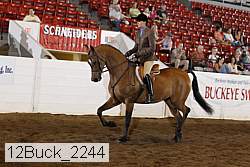12buck_2244 proof