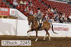 12buck_2245 proof