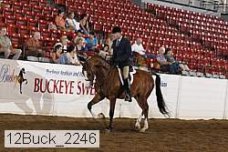 12buck_2246 proof