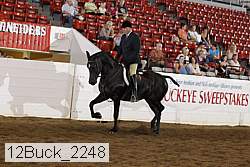12buck_2248 proof