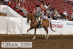 12buck_2250 proof