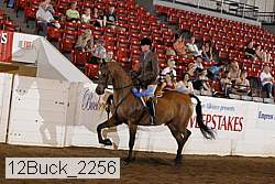12buck_2256 proof