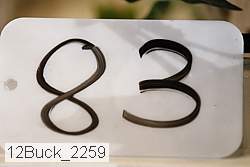 12buck_2259 proof