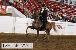 12buck_2260 proof