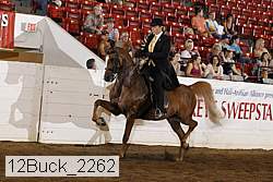 12buck_2262 proof