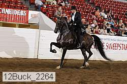 12buck_2264 proof