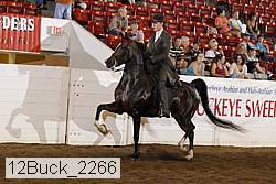 12buck_2266 proof