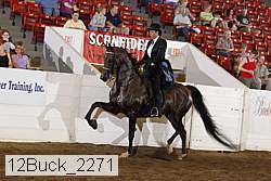 12buck_2271 proof