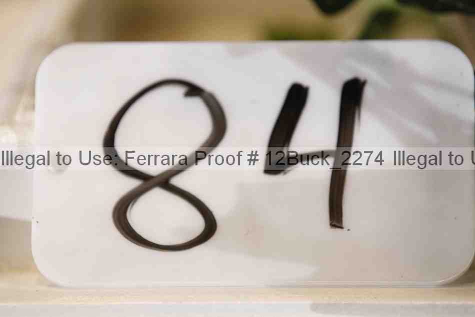 Proof 12buck_2274