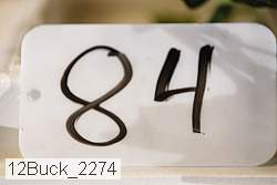 12buck_2274 proof