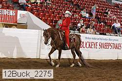 12buck_2275 proof