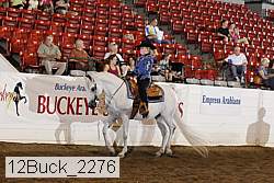 12buck_2276 proof