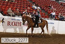 12buck_2277 proof