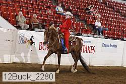 12buck_2280 proof