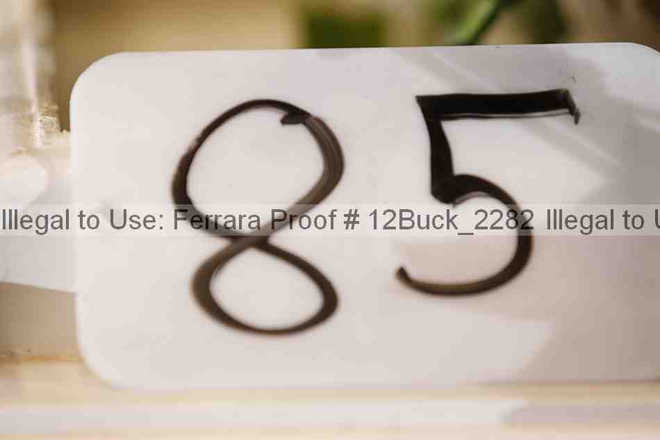 Proof 12buck_2282