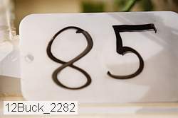 12buck_2282 proof