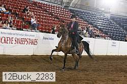 12buck_2283 proof