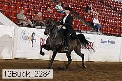 12buck_2284 proof