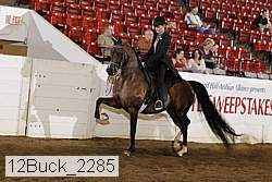 12buck_2285 proof