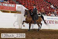 12buck_2289 proof