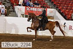 12buck_2294 proof