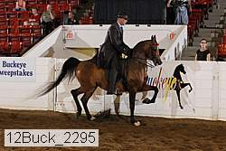 12buck_2295 proof