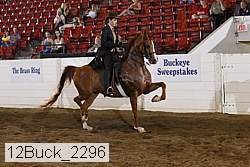 12buck_2296 proof