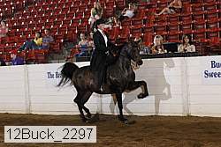 12buck_2297 proof