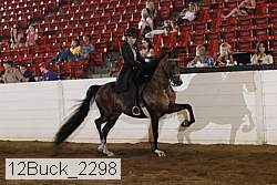 12buck_2298 proof