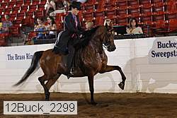 12buck_2299 proof