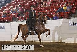 12buck_2300 proof