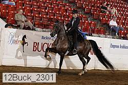 12buck_2301 proof