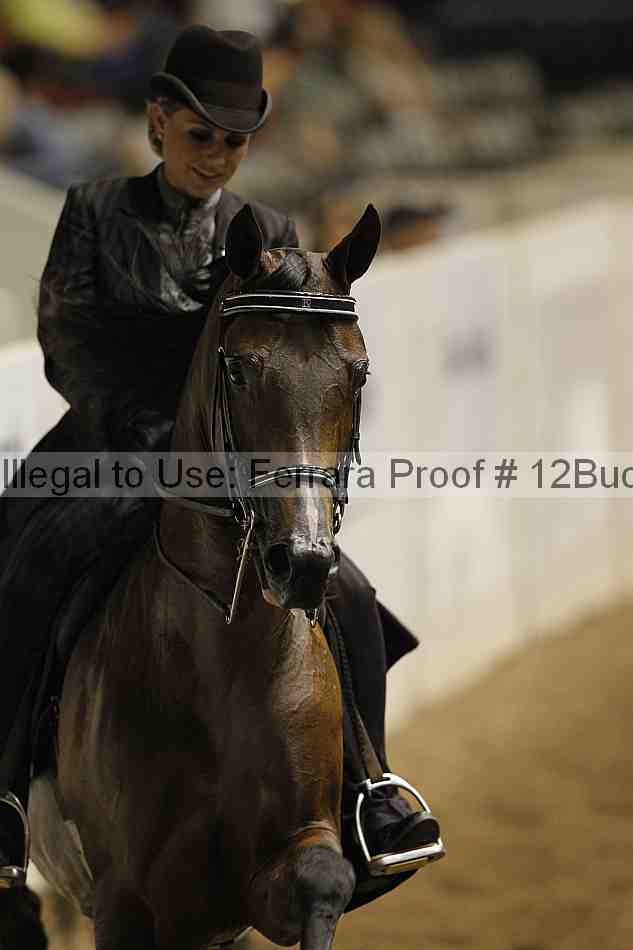 Proof 12buck_2305