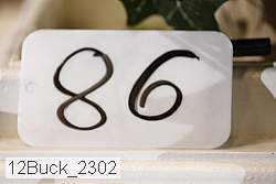 12buck_2302 proof