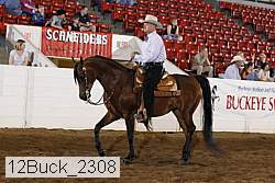12buck_2308 proof