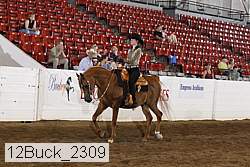 12buck_2309 proof