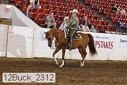 12buck_2312 proof
