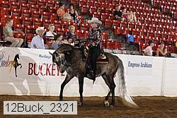 12buck_2321 proof